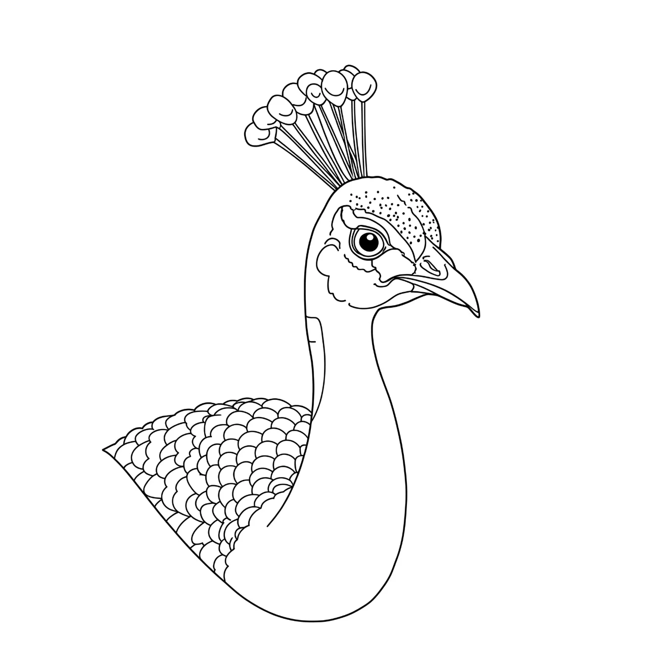 Simple Peacock Head - Close-Up Fun!