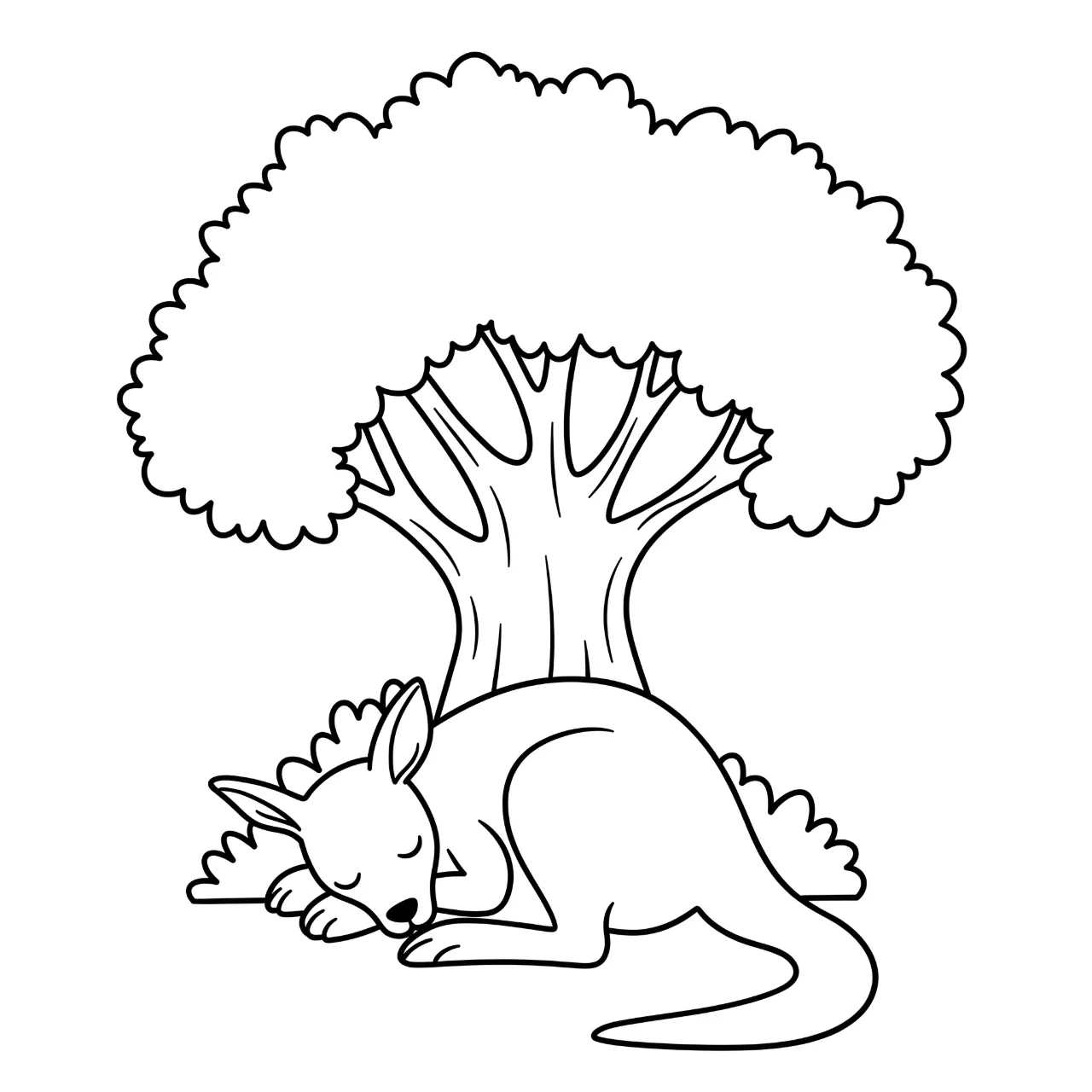6. Sleepy Kangaroo in the Shade