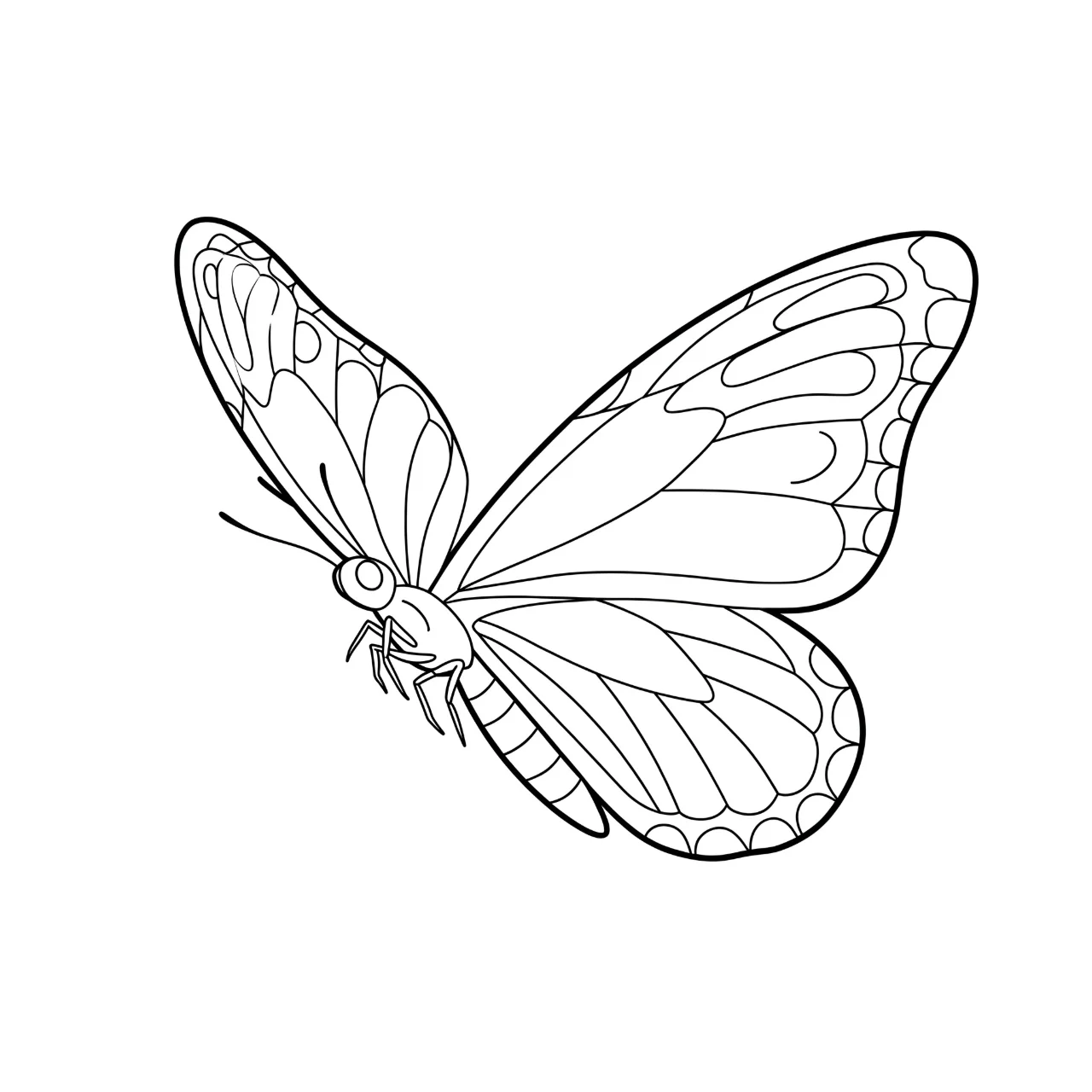 Monarch Butterfly Majesty