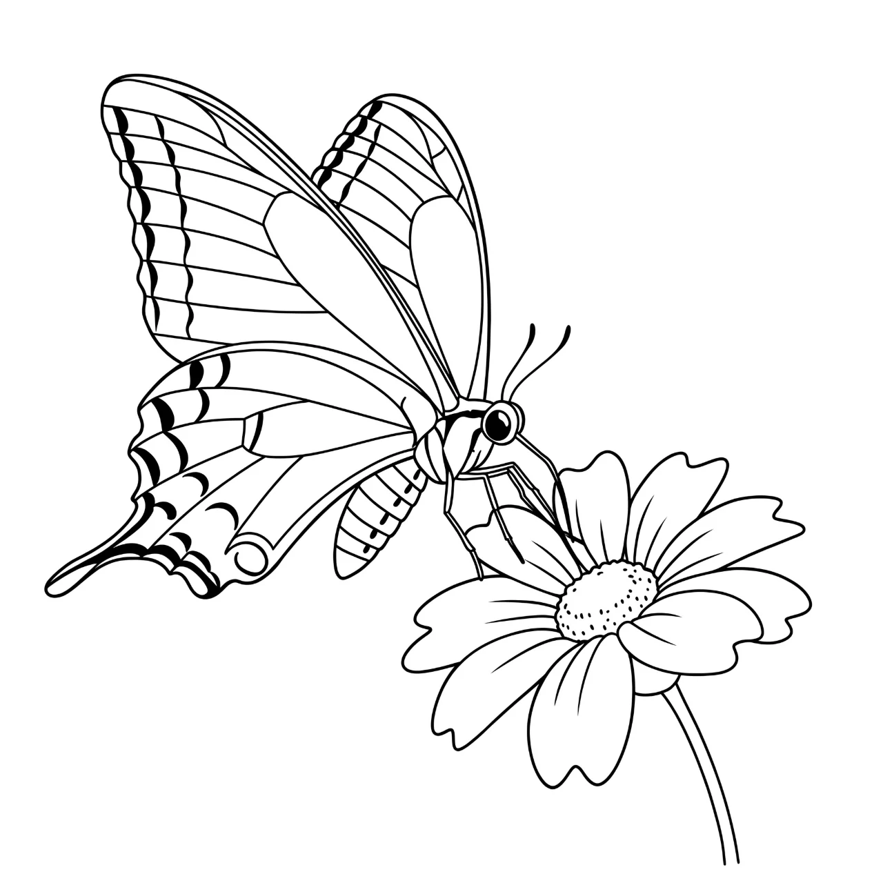 Swallowtail Sipping Nectar